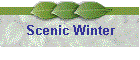 Scenic Winter